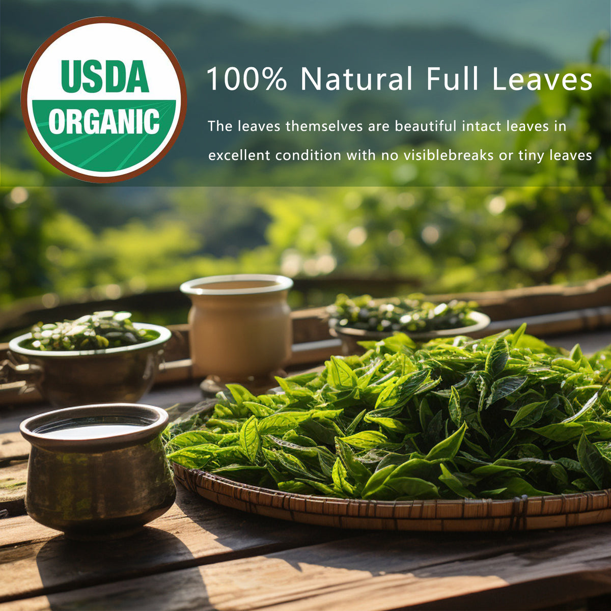 Thé Détox Nettoyant Infusion de Feuilles d'Oolong Naturelle en Sachets pour Nettoyage Pulmonaire Soulagement de la Congestion Détox à Base de Plantes Sans Caféine Sans OGM Biologique pour la Santé Intestinale et le Renforcement Immunitaire