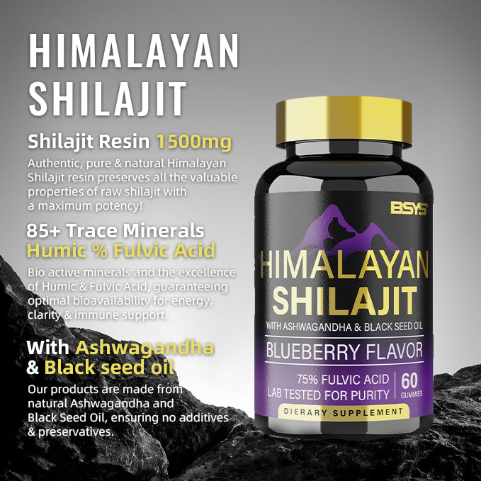 BSYS GOMMES DE SHILAJIT 60 UNITÉS