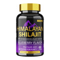 BSYS GOMMES DE SHILAJIT 60 UNITÉS