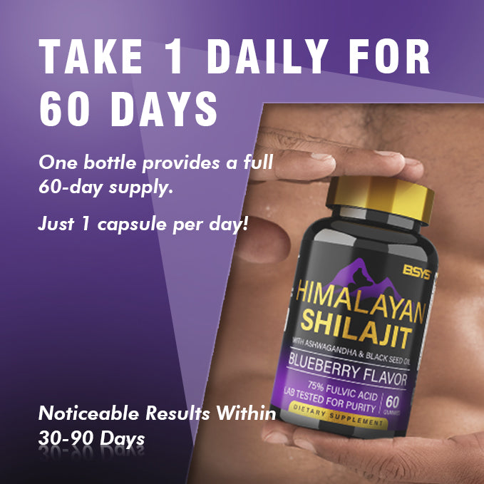 BSYS GOMMES DE SHILAJIT 60 UNITÉS