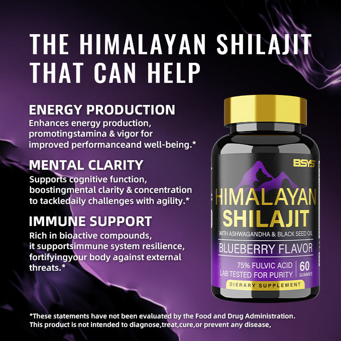 BSYS GOMMES DE SHILAJIT 60 UNITÉS