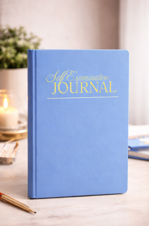 Le Journal d'auto-examen