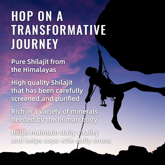 BSYS GOMMES DE SHILAJIT 60 UNITÉS
