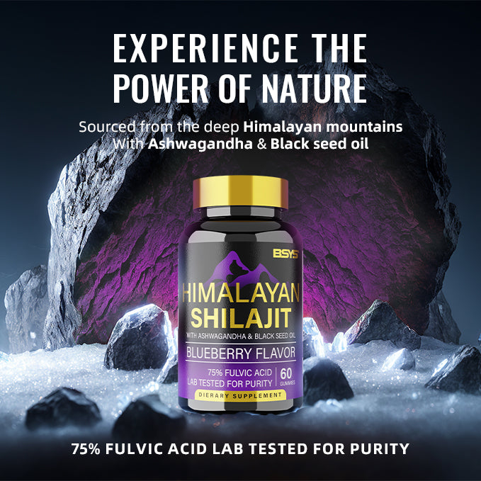 BSYS GOMMES DE SHILAJIT 60 UNITÉS
