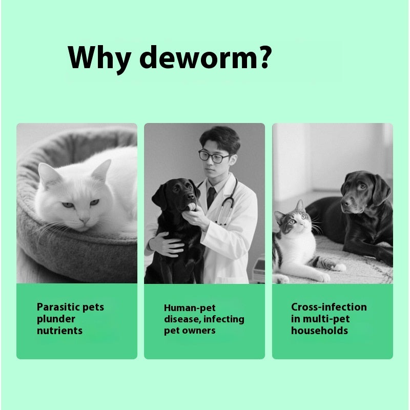 Produits de santé contre les démangeaisons pour animaux de compagnie